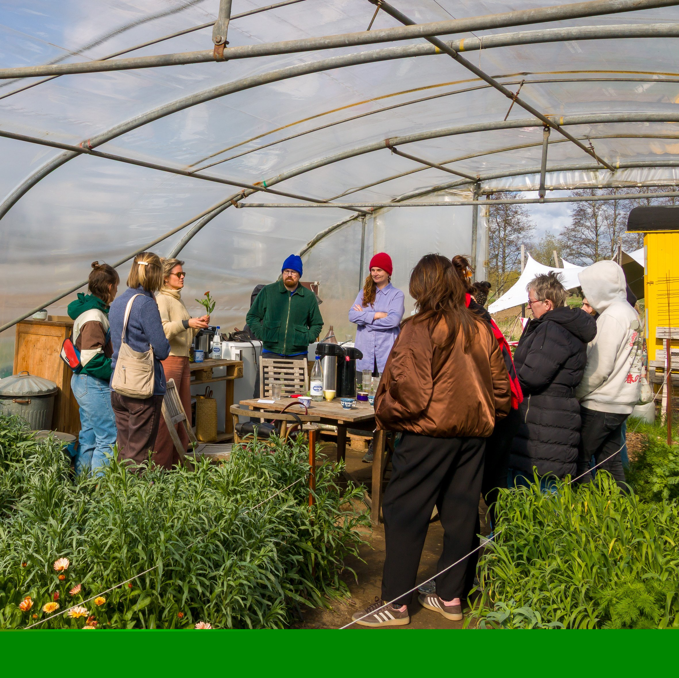 zelfpluk-bloemen-astene-deinze-gent-zelfplukveld-zelfplukboerderij-infomoment