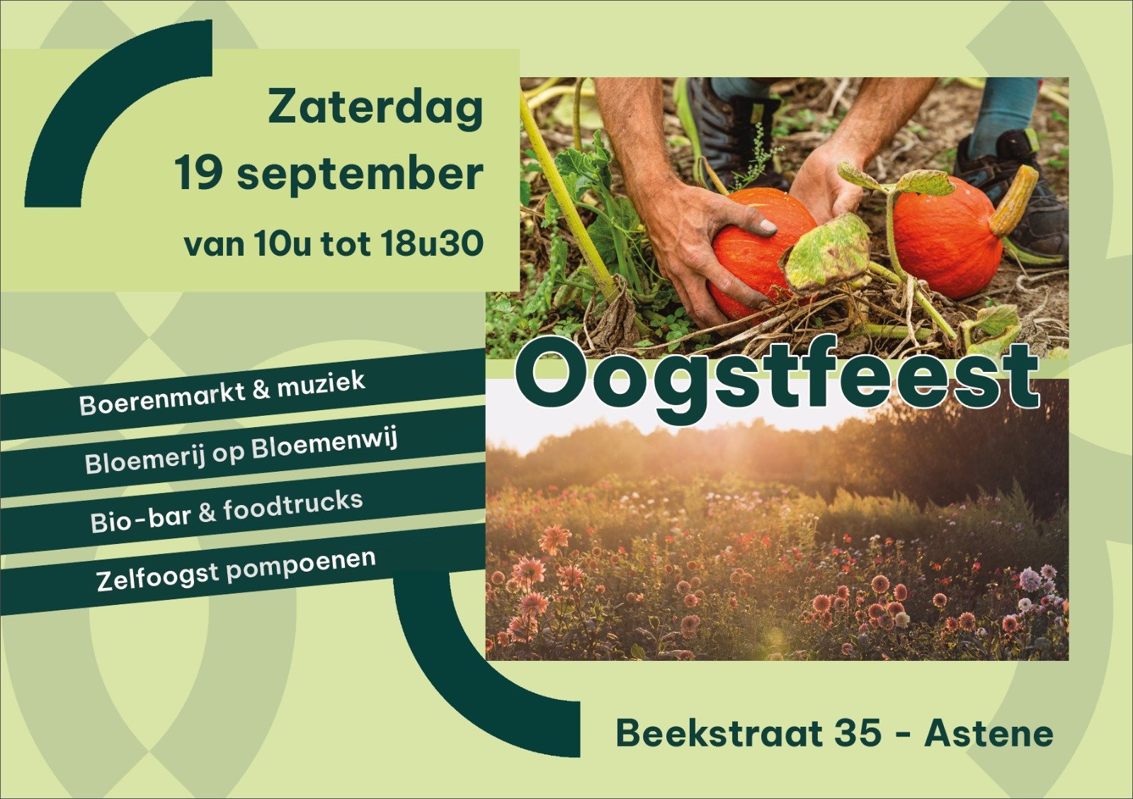oogstfeest-zelfpluk-astene-deinze-dewassendemaan-groeisels-csa-boerderijfeest