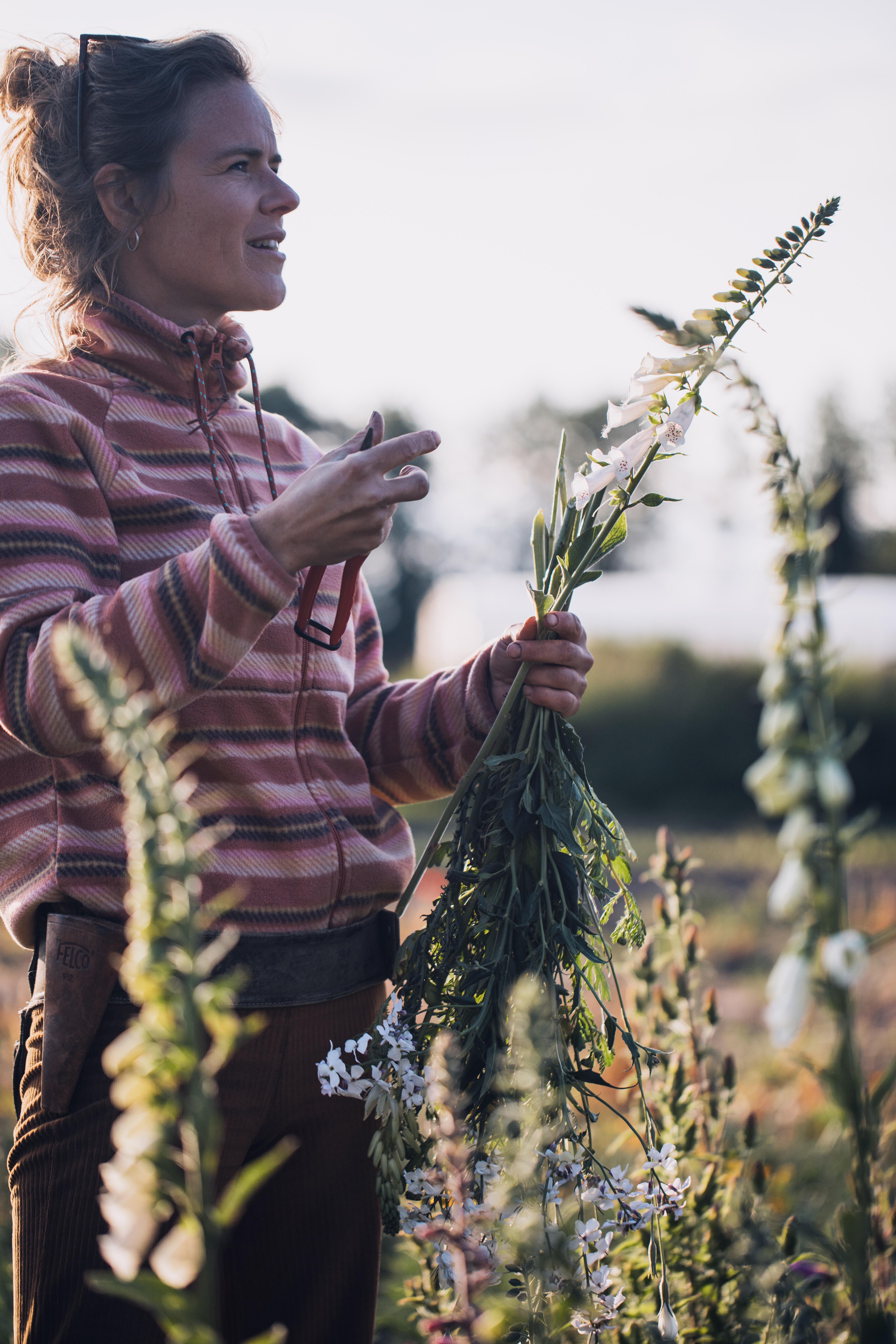 zelfpluk-bloemen-astene-deinze-gent-zelfplukveld-zelfplukboerderij-infomoment